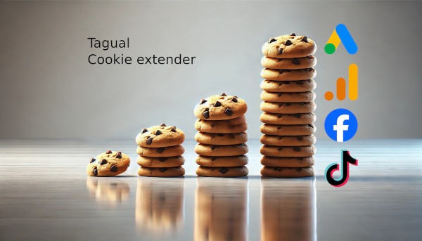 Prolonging the Lifetime of First-Party Cookies with Cookie Extender